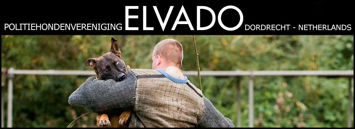 Elvado banner