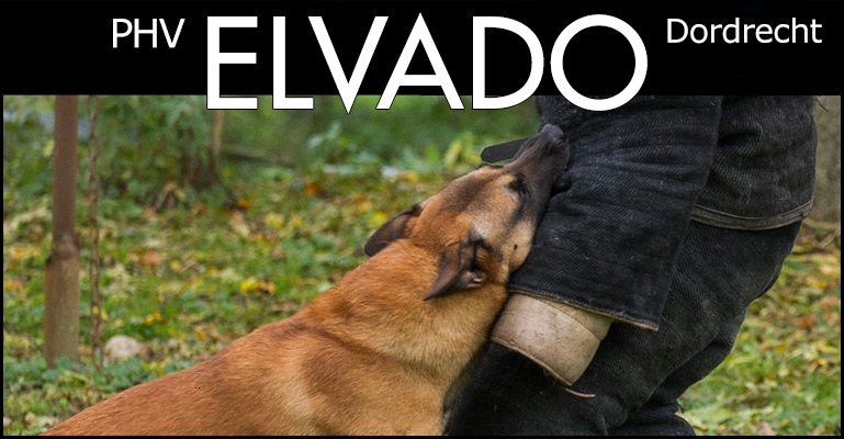 Elvado banner