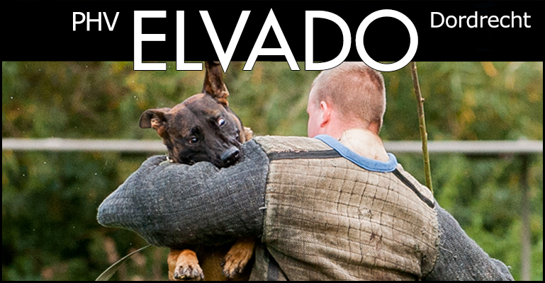 Elvado banner